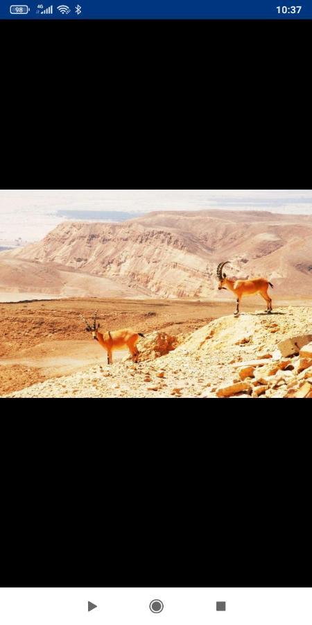 אלת המדברgoddess Of The Desert Be'er Ora Exteriér fotografie